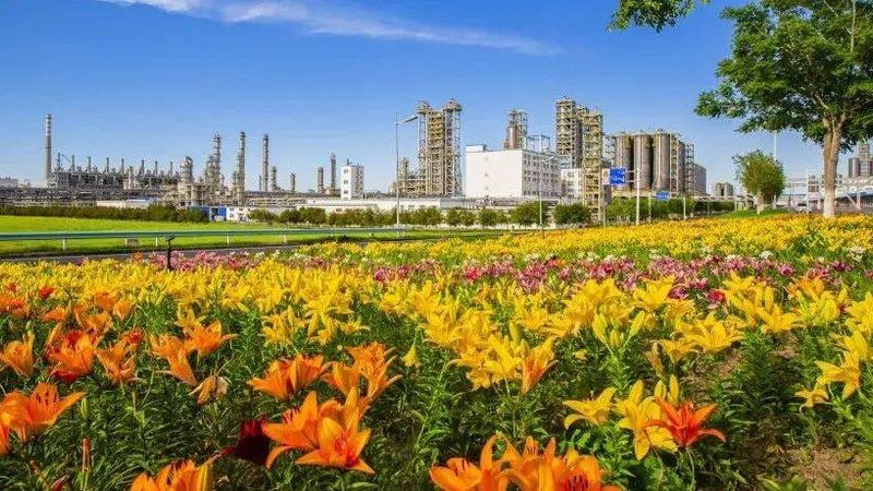 化工代理区域保护风险评估：如何构建风险防线